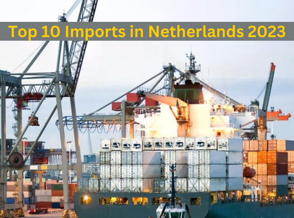 Top 10 Imports in Netherlands 2023